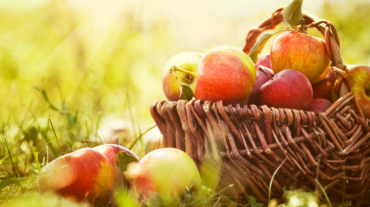 appels-als-gezonde-snack